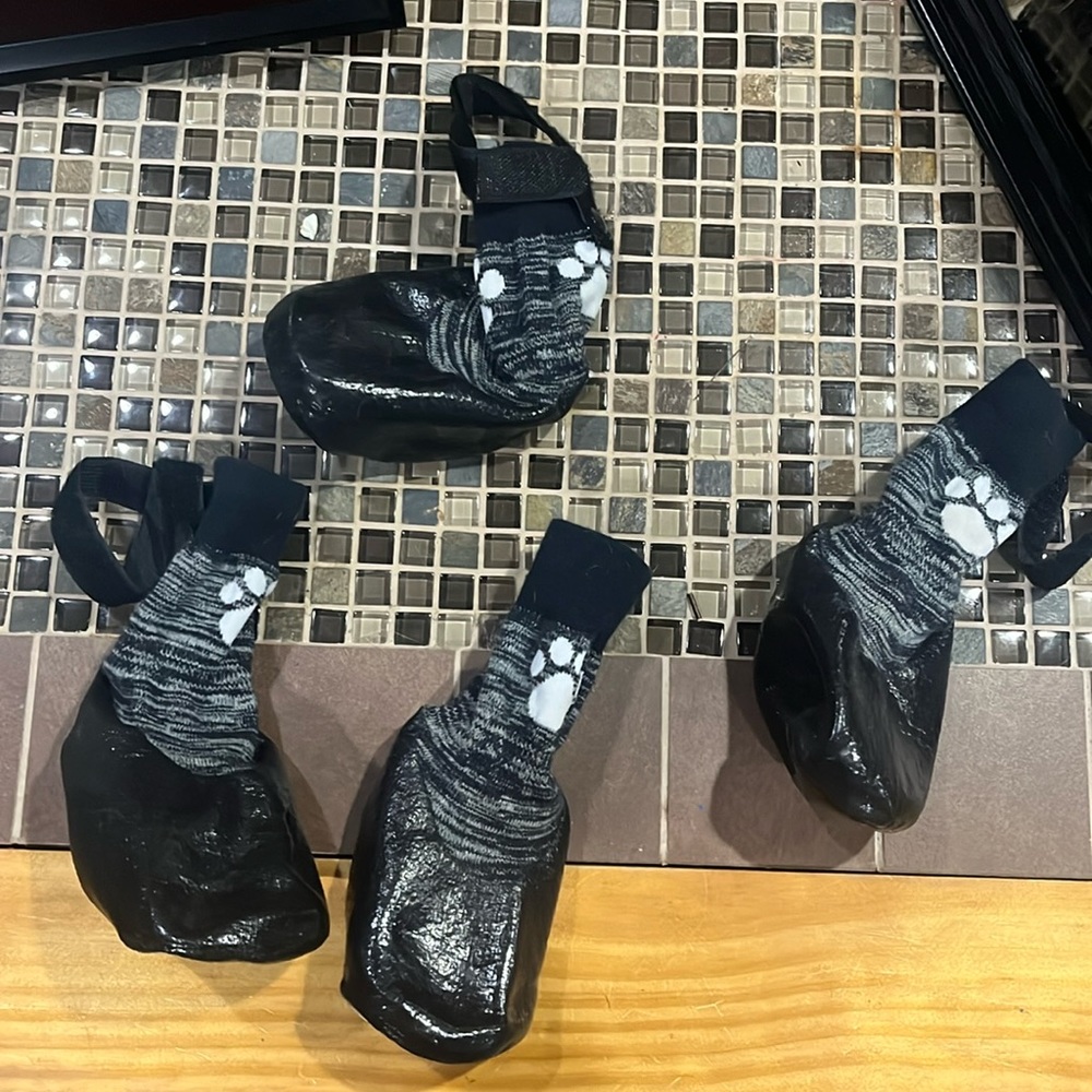 Buy 1 get 1 free**Dog socks
